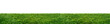 Leinwandbild Motiv green grass field isolated on white background