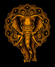 Adult Elephant Full Body Vector Illustration Art