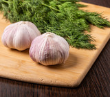 Fototapeta Miasto - Garlic and dill are on the cutting Board.