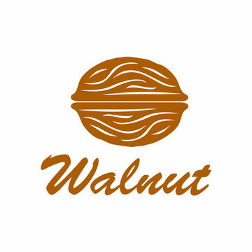 Walnut Vector Icon