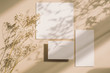 Empty white wedding stationery mock ups with soft leaves shadows on light beige background. 