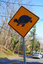 View Of A Yellow And Black Turtle Crossing Road Sign In New Jersey
