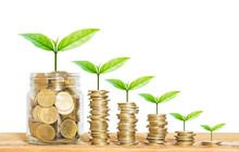 Coin Stack Money Saving Concept. Green Leaf Plant Growth On Rows Of Coin On White Background. Money Matters Tips To Investment And Business Financial Banking For Financial Wellness.