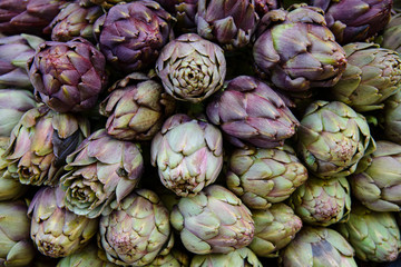 Violet artichoke flower plant. On sale in a vegetable shop.