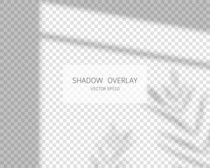 Poster - Shadow overlay effect. Leaves shadows. Natural shadows from window isolated on transparent background. Vector illustration. 