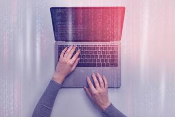 Poster - Female hands writing code on laptop. Dual screen, collage
