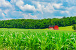 Indiana red barn in rural farm country with corn crop