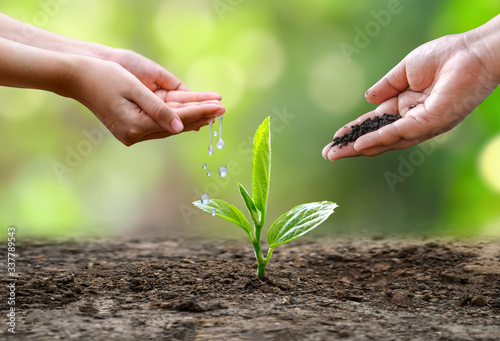 Fotografía hand Watering plants tree mountain green Background Female hand holding tree on