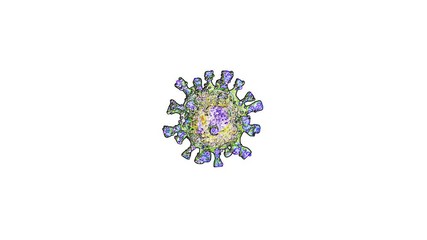 Sticker - Animation of Covid-19 corona virus spreading and dissolve