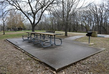 Wall Mural - Picnic Area