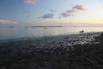 Poster - the sunset next to the ocean