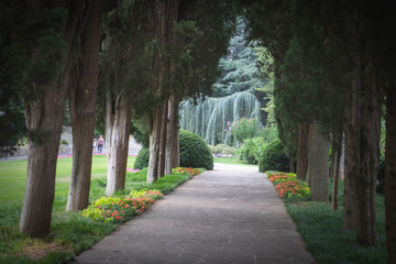 Wall Mural - alley in the park