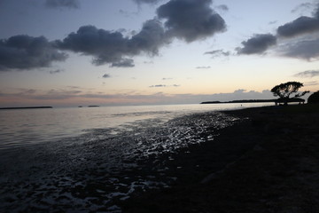 Wall Mural - the sunset next to the ocean