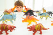 Caucasian boy playing with toy dinosaurs themes of childhood play imagination