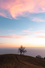 View Of Bare Tree On Hill Against Sky During Sunset