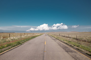 Wall Mural - road passing through dry fields