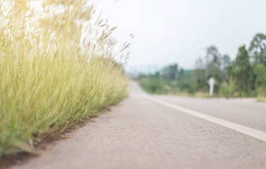 road in the countryside