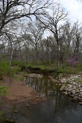 Wall Mural - Stream