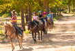 Family taking a horseback riding  lesson in the woods in the Rocky Mountains, Colorado, USA, in summer