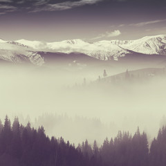 Wall Mural - winter landscape with fog