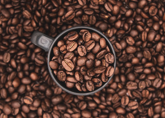 Coffee Cup and Roasted Coffee Beans