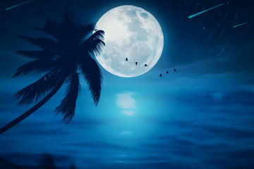 full moon with star fall and birds flying at tropical beach abstract background. travel vacation fre