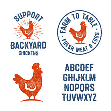 Set Of Textured Hen Badges, Emblems, Logos And Design Elements. Used Hand Lettered Typeface Is Included. Support Backyard Chickens. Farm To Table Fresh Meat Ans Eggs. Vintage Aged Yummy Look. 