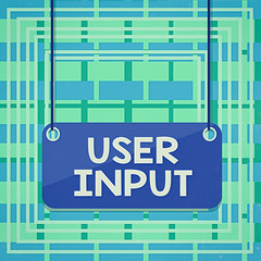 Poster - Text sign showing User Input. Business photo showcasing Any information or data that is sent to a computer for processing Board color background plank attached string panel rectangle empty surface