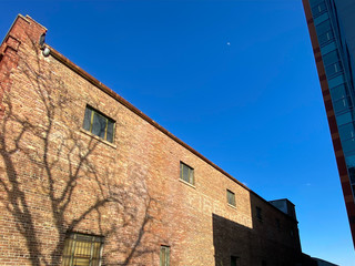 city buildings and views with blue sky daytime moon