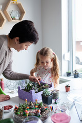 Wall Mural - Woman teaches planting succulents in a glass florarium at a lesson in a creativity studio,