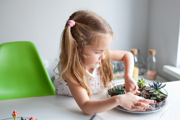 Wall Mural - Beautiful girl plants succulents in a glass florarium at a lesson in a creativity studio