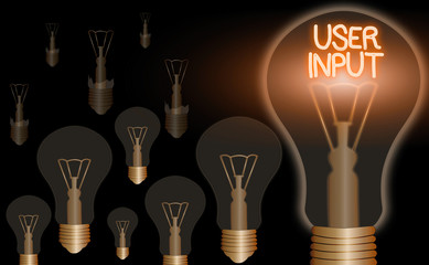 Poster - Word writing text User Input. Business photo showcasing Any information or data that is sent to a computer for processing