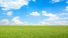 Green Field And Blue Sky With Clouds