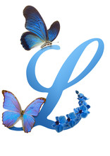 Blue Letter With Orchid And Butterfly
