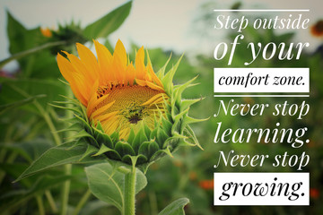 Inspirational motivational quote - Step outside of your comfort zone. Never stop learning. Never stop growing. With sunflower blossom and  growth on a green background as a life process illustration.