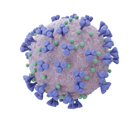 Poster - 3D rendering of the coronavirus on a microscopic level isolated on white background. Microscope close-up of the covid-19 disease. 2019-nCoV virus