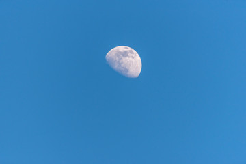 Wall Mural - Three Quarter Moon in a Blue Sky