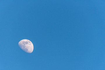 Wall Mural - Three Quarter Moon in a Blue Sky