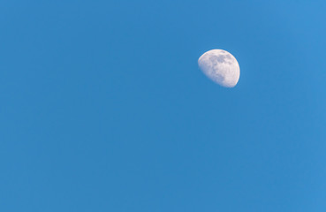 Wall Mural - Three Quarter Moon in a Blue Sky