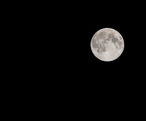 Wall Mural - Full Moon in a Black Night Sky