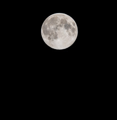 Wall Mural - Full Moon in a Black Night Sky