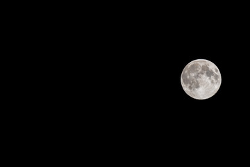 Wall Mural - Full Moon in a Black Night Sky