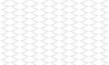 Abstract White Fish Skin Pattern Background Texture Vector Illustration.