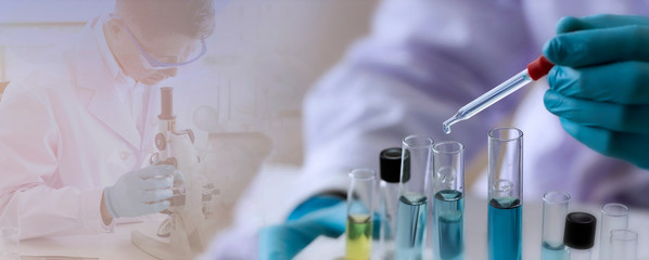 Wall Mural - laboratory concept; scientist uses a dropper to transfer chemical reagent to test tube. he observes 
