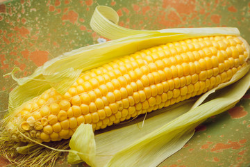 Wall Mural - Boiled corn with tops. Yellow agriculture organic vegetarian fresh summer food close up.