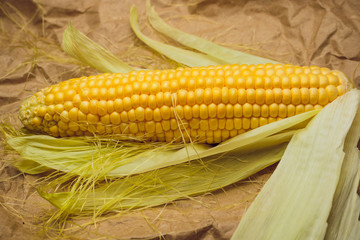 Boiled corn with tops. Yellow agriculture organic vegetarian fresh summer food close up.