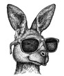 black and white engrave isolated kangaroo illustration