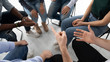 © fizkes - Top view close up of diverse colleagues sit in circle participate in group session or psychological therapy together, multiracial young people engaged in teambuilding activity or training in office