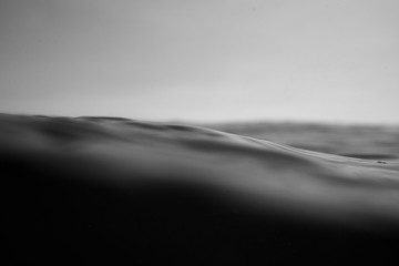 Wall Mural - surface