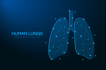 Aufkleber - Human lungs illustration made by points and lines, polygonal wireframe mesh on blue background. Low poly respiratory system. Medicine, science. Vector.